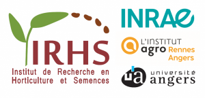 Logo-IRHS-h_2022_png