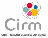 Logo CIRM