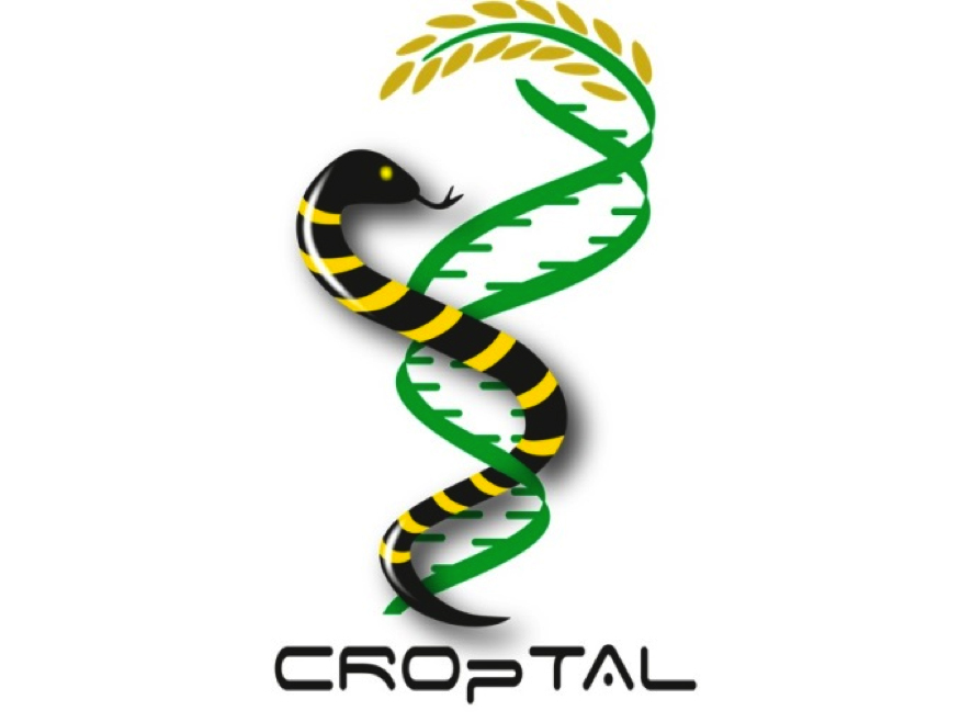 logo Croptal